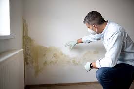 Mold Remediation for Rental Properties in Montclair State University, NJ